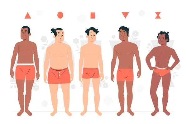 morphologie homme